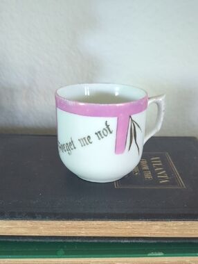 Vintage  German  Porcelain Forget Me Not Teacup